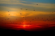 mountains-100367_960_720.jpg