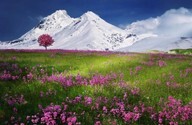mountains-736886_960_720.jpg